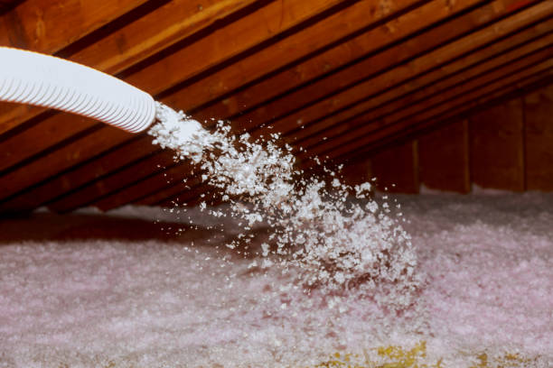 Best Insulation for Specific Applications in Egypt, AL