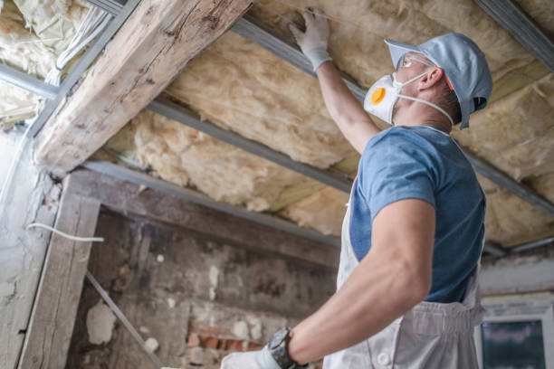 Best DIY Insulation Kits and Guidance in Egypt, AL