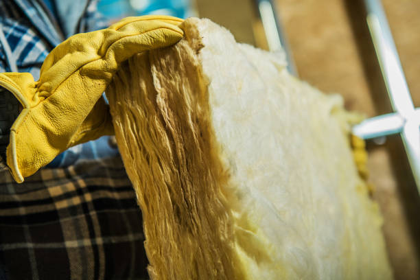 Best Spray Foam Insulation in Egypt, AL