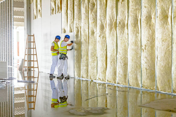 Best Insulation Maintenance and Repair in Egypt, AL